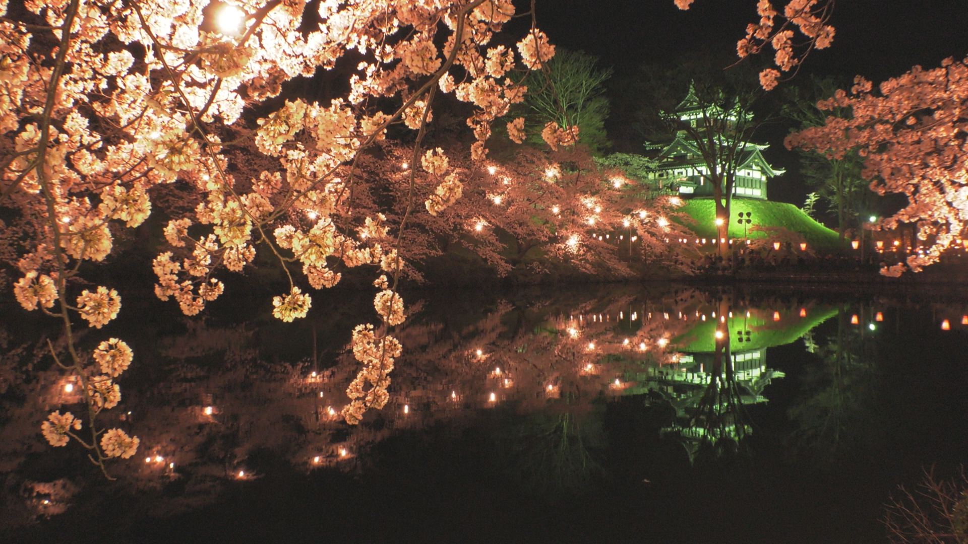 高田城址公園観桜会