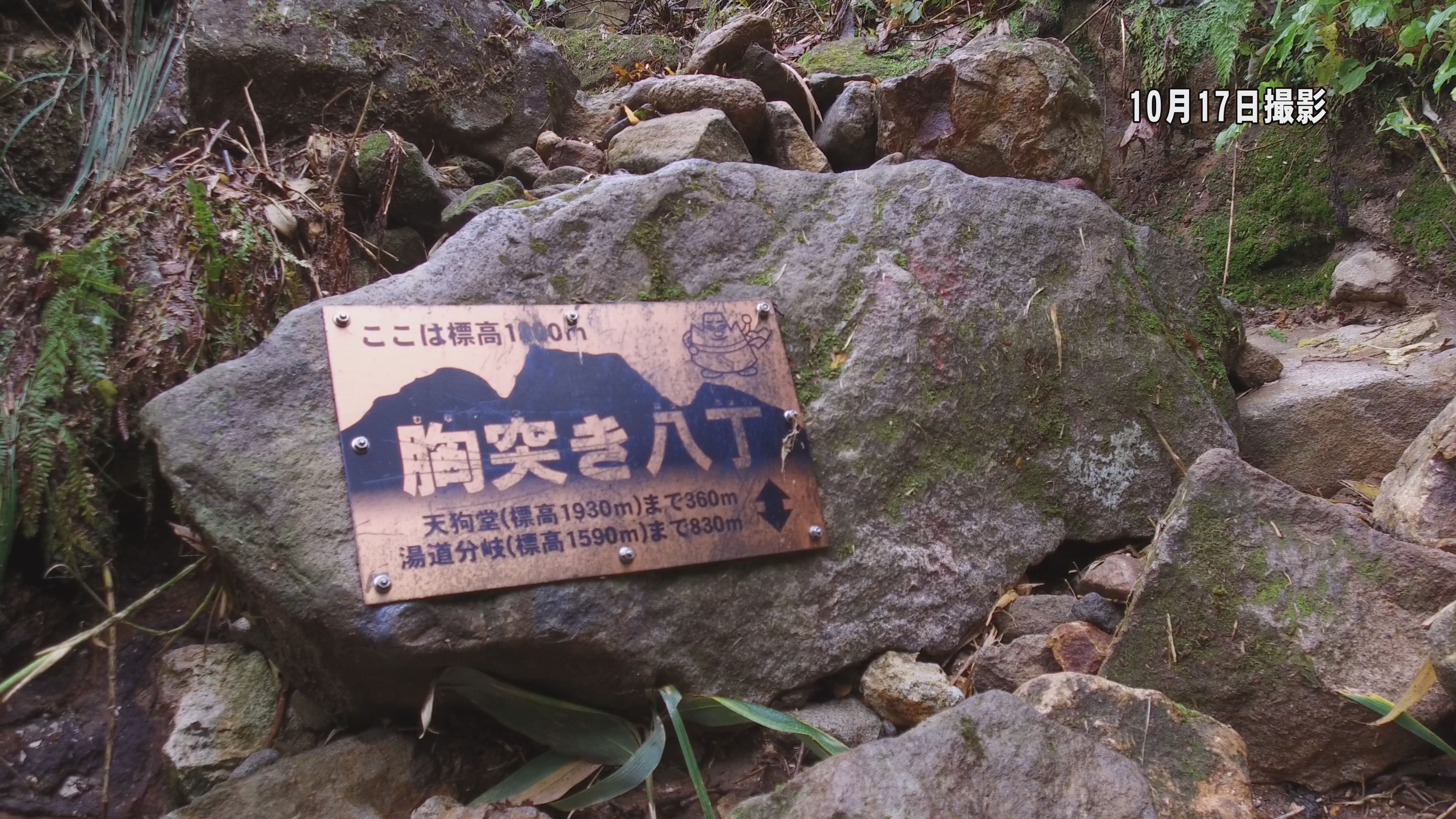 191018_妙高山登山ルート4