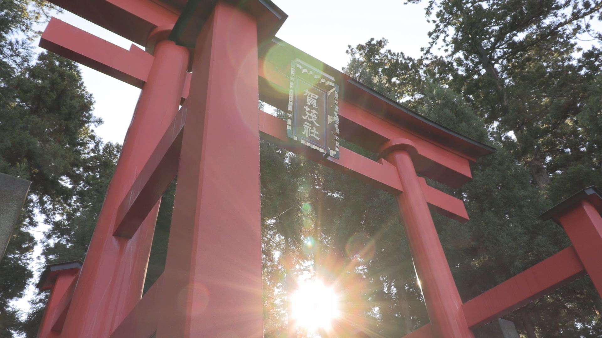 初詣に間に合いました 妙高市 賀茂神社の鳥居完成 ニュース 上越妙高タウン情報