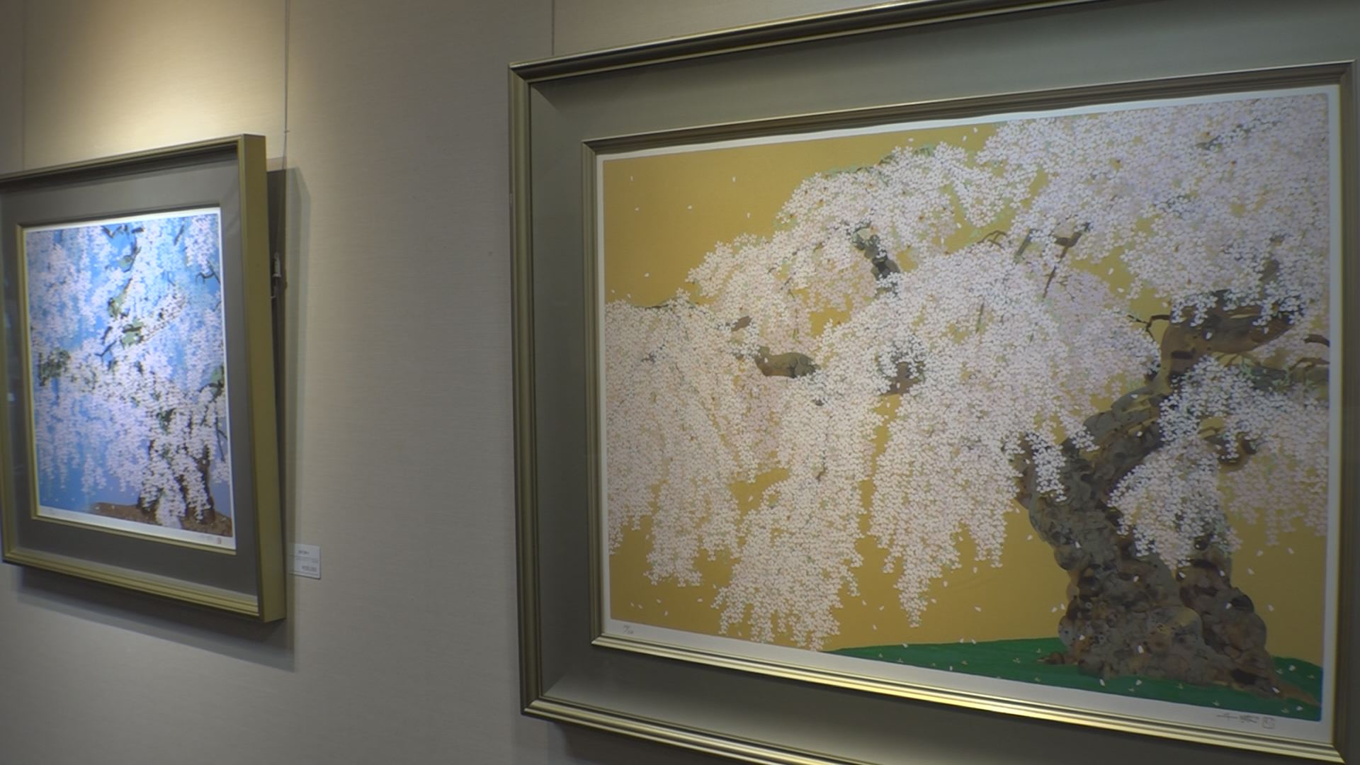 年桜の生命力 日本画家・中島千波さん作品展   ニュース   上越